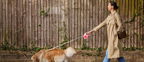 shokz technology image