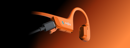 What Is a Type C Charger and Why It's the Future of Charging