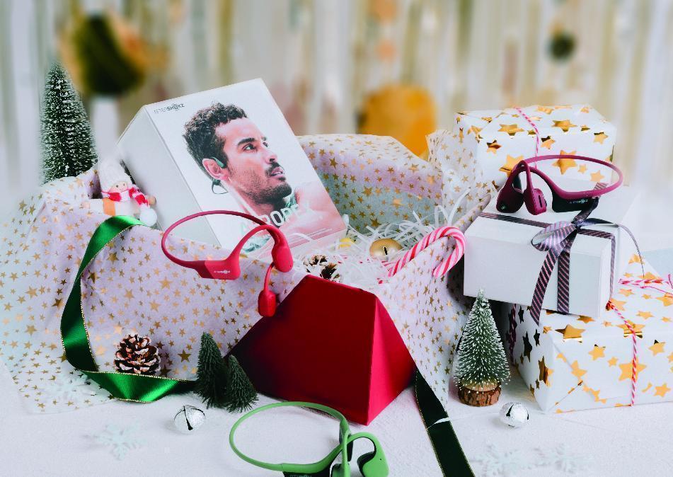 DEAR SANTA CLAUS:  WHAT GIFT WOULD SUIT MY WHOLE FAMILY THIS CHRISTMAS?