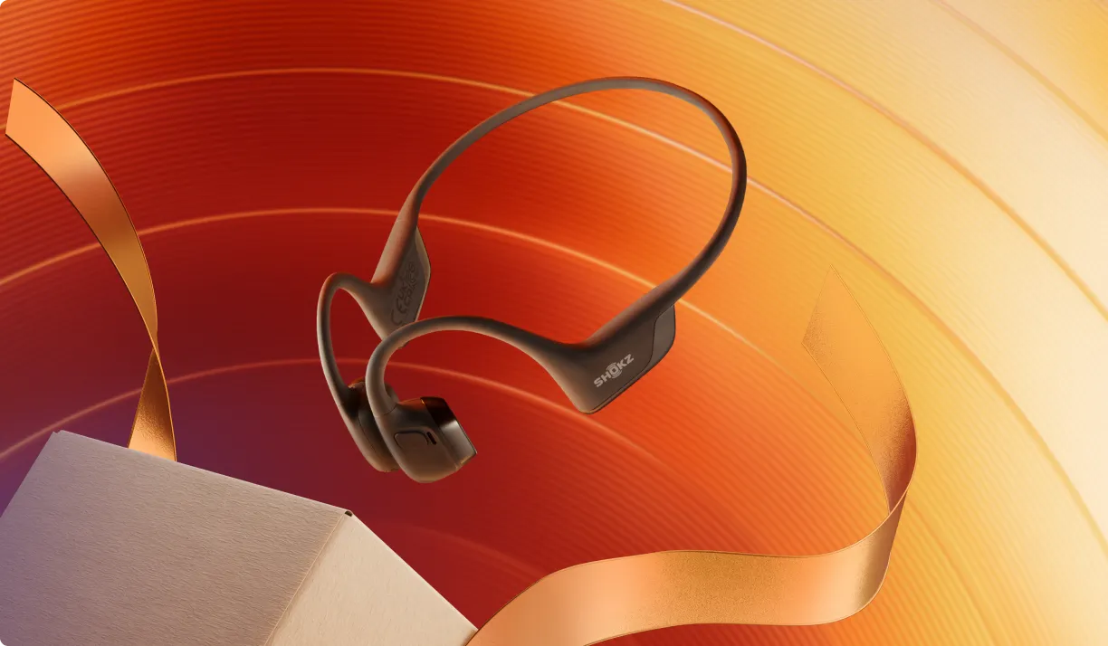 2025 Black Friday product feature image