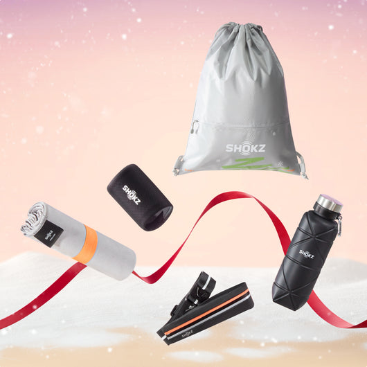 2024 Christmas Gift Bag